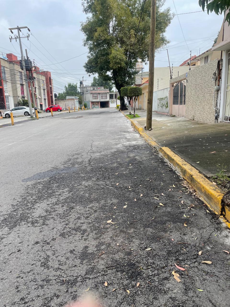 Fotografía 10