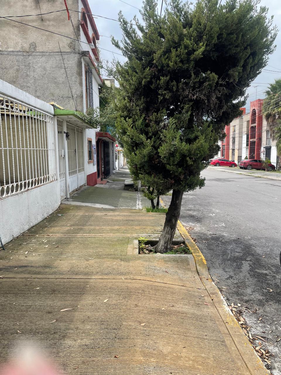 Fotografía 11